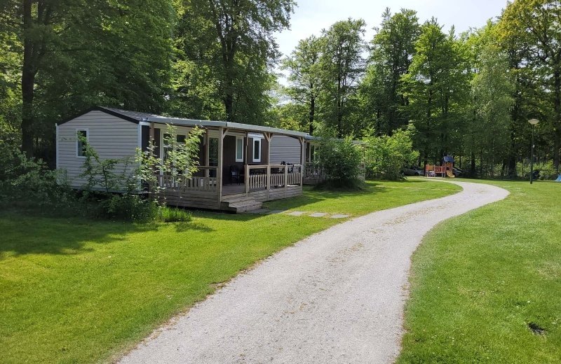 Op vakantie met de hond