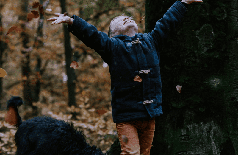 Bosbegtoren 1 6703ca8f04949