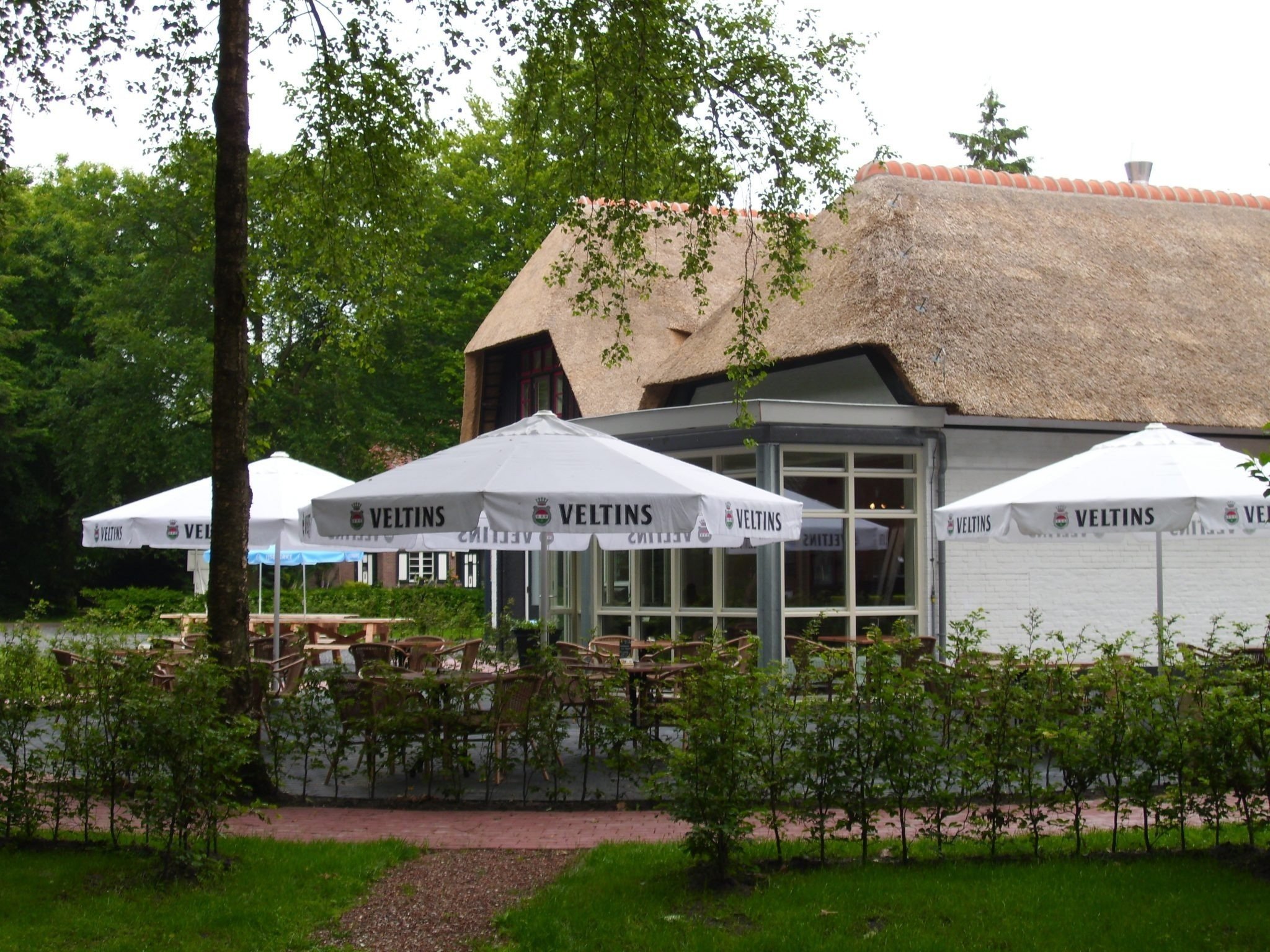 Bospaviljoen bij Kampeerboerderij Appelscha