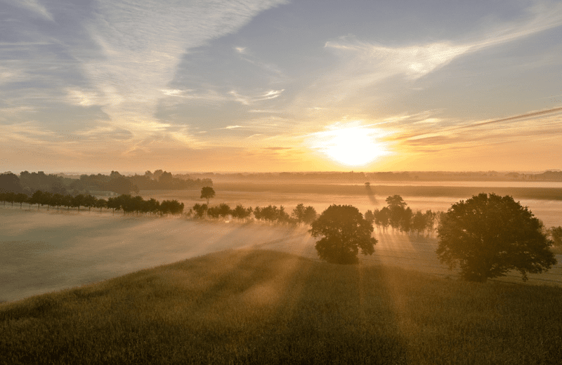 Het bezoekerscentrum Drents-Friese Wold