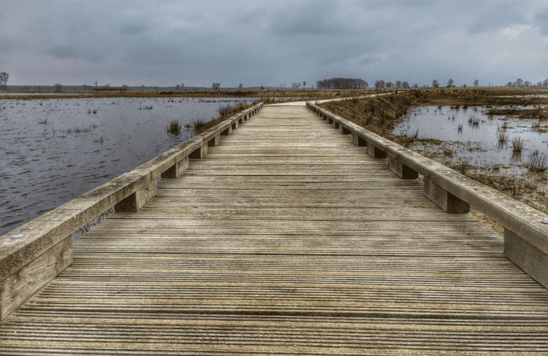 Nationaal Park Dwingelderveld